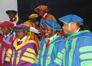 Group of graduates in colorful academic robes